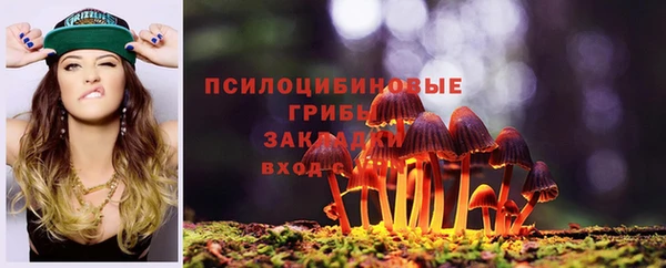 PSILOCYBIN Нефтекумск