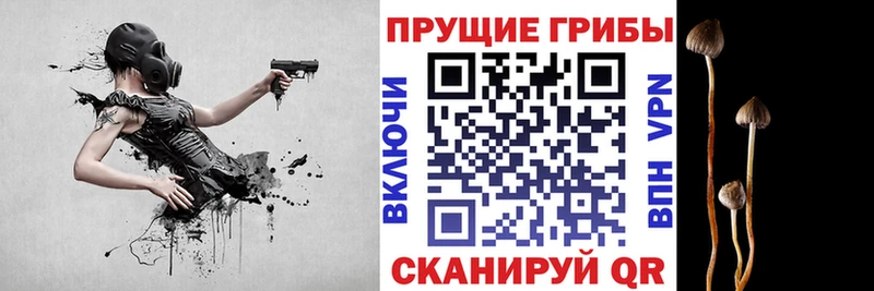 Галлюциногенные грибы Cubensis  Макушино 